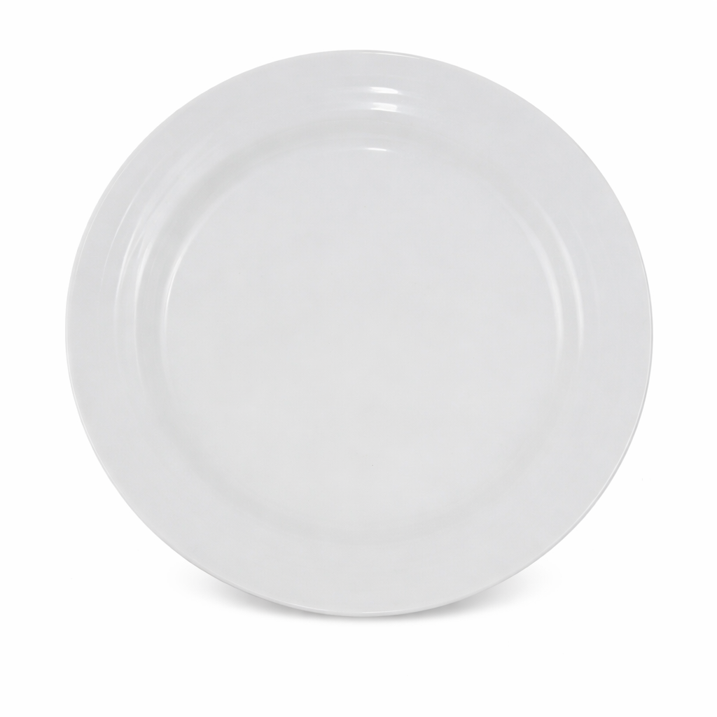 Arctic Dinner Plate 10"